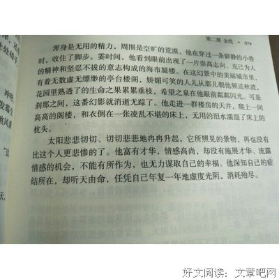 双城记读后感100字