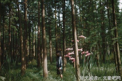 《东风恶》经典读后感有感