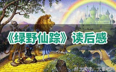 斑马魔术师读后感锦集