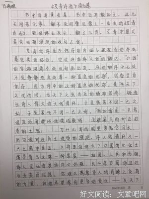 战乱时期的爱情读后感100字
