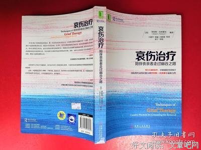 哀伤治疗：陪伴丧亲者走过幽谷之路的读后感大全