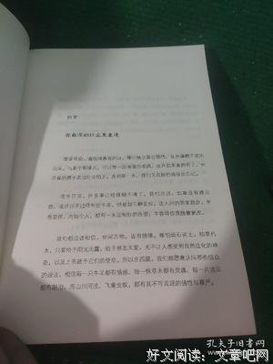 《在最深的红尘里重逢：仓央嘉措诗传》经典读后感有感