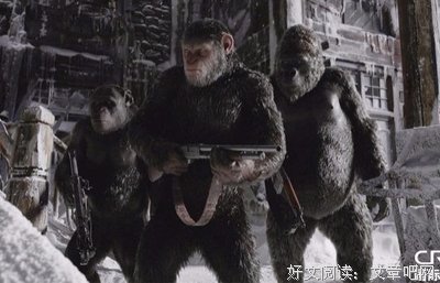 《决战猩球》好看吗？经典影评锦集