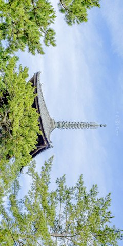 《盛夏光年》影评精选