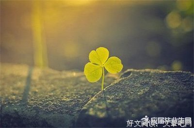 关于如愿以偿的名句摘抄