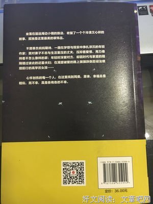 《孤独旅店：收留无处安放的孤单心事》读后感1000字