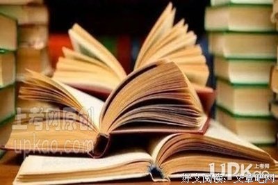 闹剧，或者不再寂寞读后感1000字