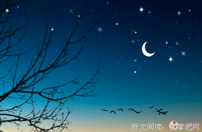 我喜欢的句子