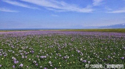 关于人生不过几十年的句子