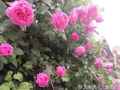 那时候的世界的句子