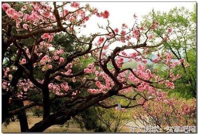 旧时丶光景优美的句子