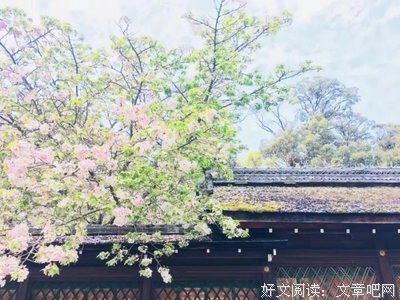 有关川端康成的句子