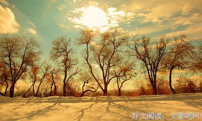 日渐老去的我句子