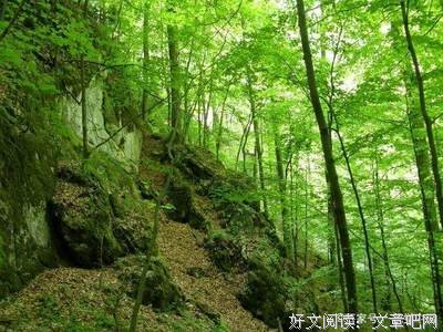 红尘纷扰缱绻千年句子大全