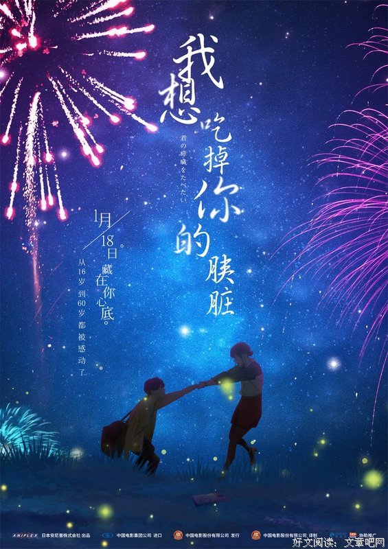 《我遇见的花火》的句子