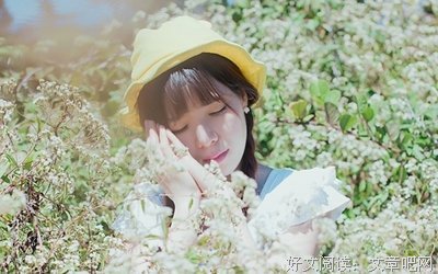 随笔，，，的优美句子