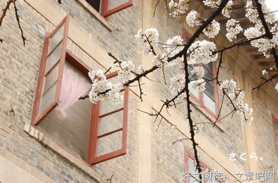 关于伤的优美句子