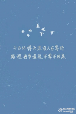 友情的优美句子