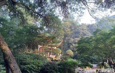 有关已枫的句子