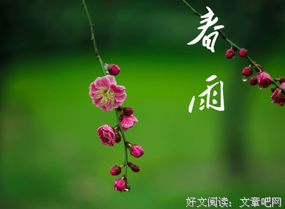 拉丁美洲谚语名言