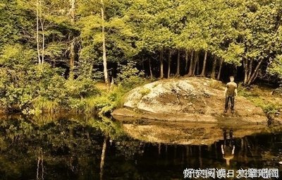 《世界上最棒的女人》的影评大全