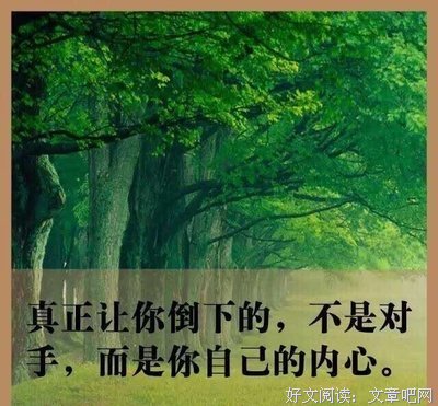 最经典的《网络百度》经典语句大全