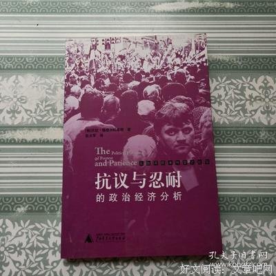 《抗议与忍耐的政治经济分析》经典读后感有感