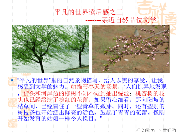 世界低处的端详的读后感大全