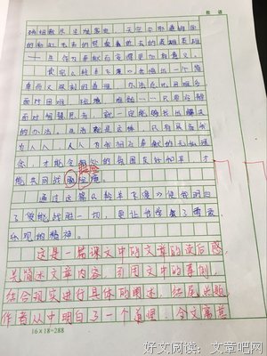 生命的热情何在读后感锦集