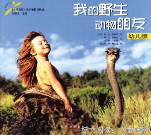 《动物精神》读后感1000字