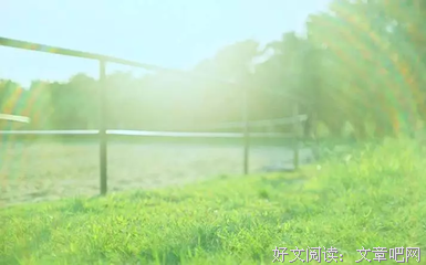 有些事现在不做，一辈子都不会做了.的读后感大全