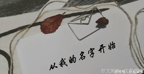 《我的名字叫帕瓦娜》读后感锦集