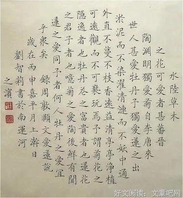 《女裁缝与风》读后感锦集