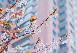 《甲骨文的故事》经典读后感有感