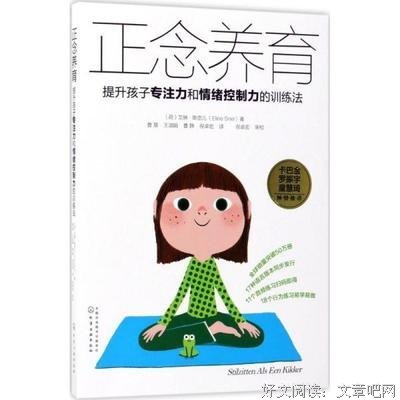 《正念养育：提升孩子专注力和情绪控制力的训练法》读后感锦集