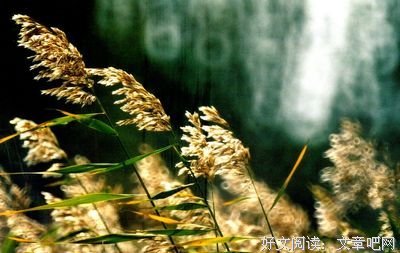 《断线的亲情》观后感精选