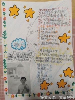 《野蔷薇》经典读后感有感