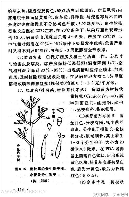 《银子：一部生活史》读后感1000字