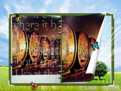 德国史稿：1555—1618读后感100字