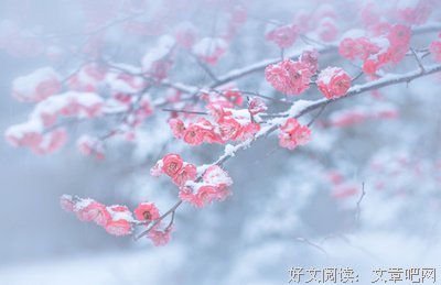 素材的优美句子