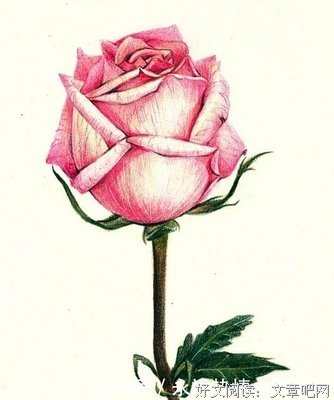 关于左岸·流年的优美句子