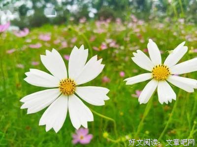 拨动我心中的那根弦名句欣赏