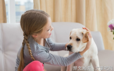 采的优美句子