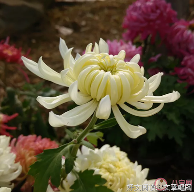 五颜六色的句子