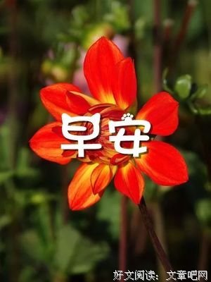 纸鸢·情殇的句子