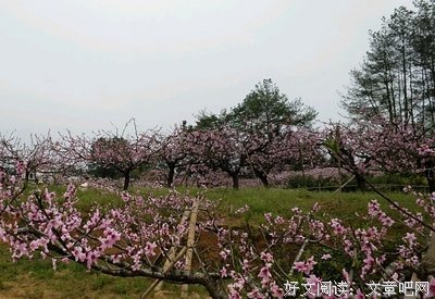 关于光、黑暗的伤的优美句子