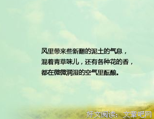 我的愿望们十多地是你的愿望下生认每有我好词好句