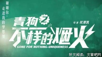 《青春喂了狗2：不一样的烟火》影评100字