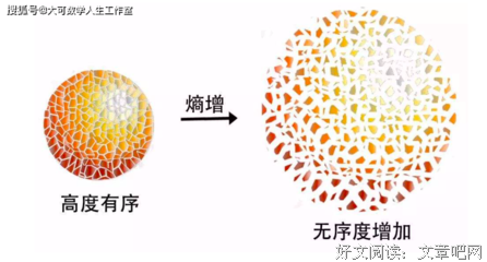 最新的埃尔温·薛定谔名言名句