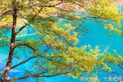 最经典的《美丽的茧》经典语句大全